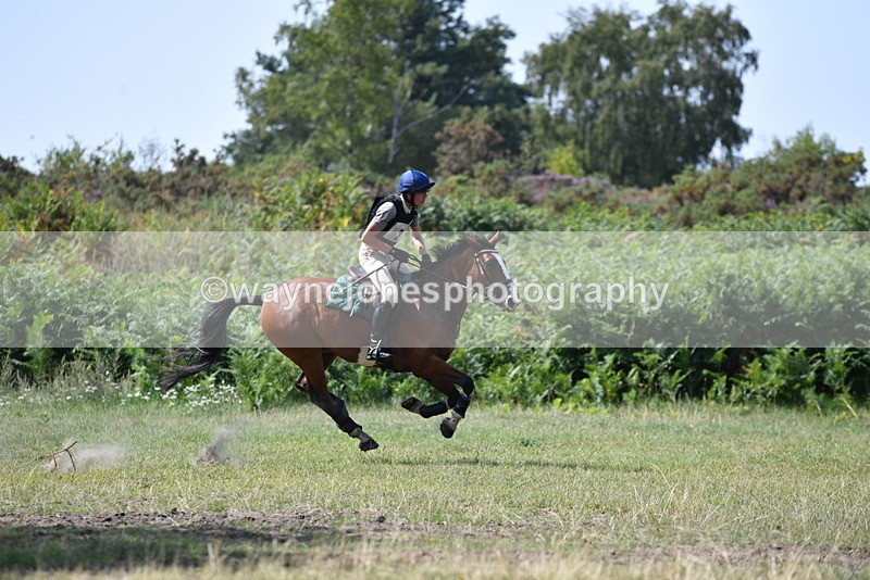 WJ5_2887 - XC Time 12:35 to 12:59