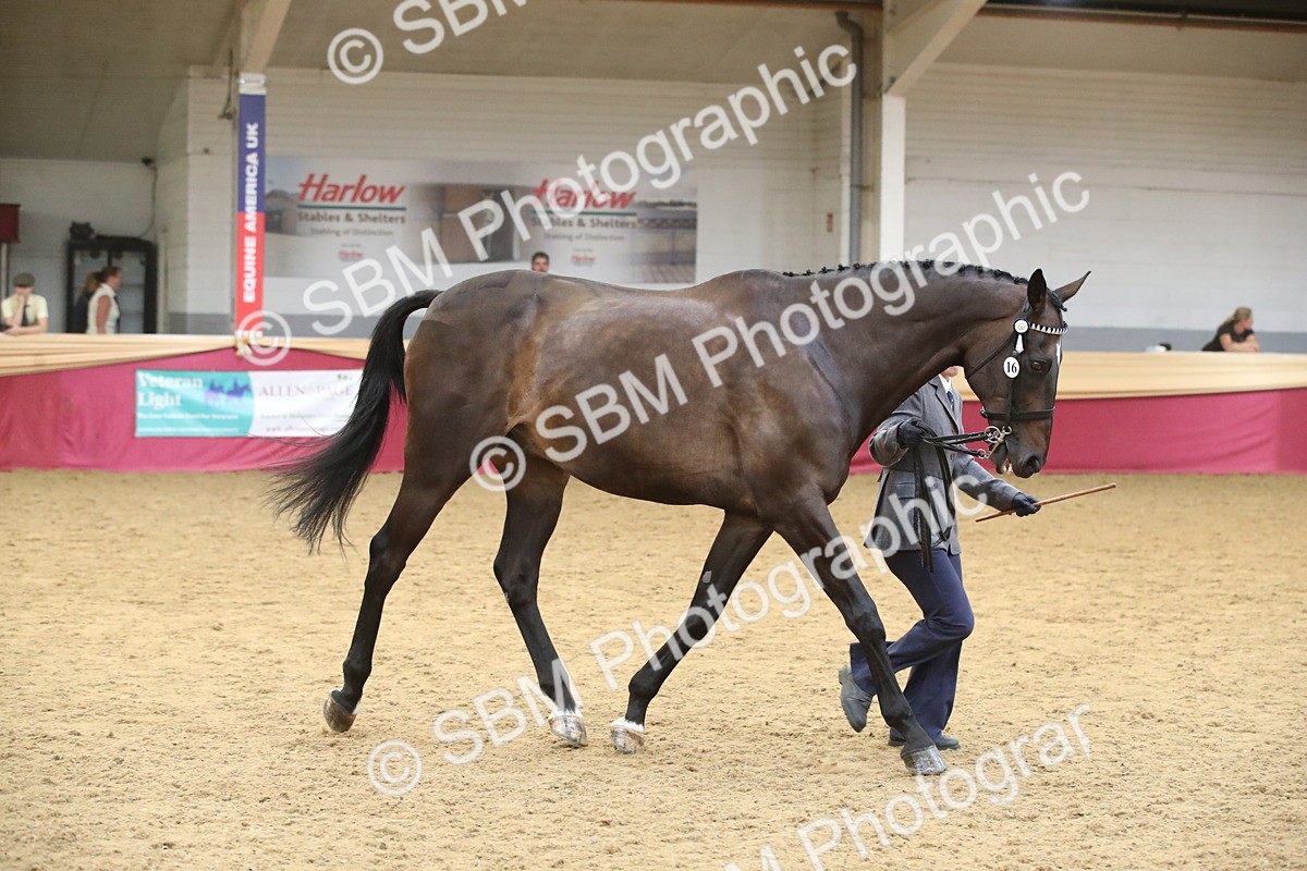 SBM_05705 - Class 9R - Regional IH Pre-Vet