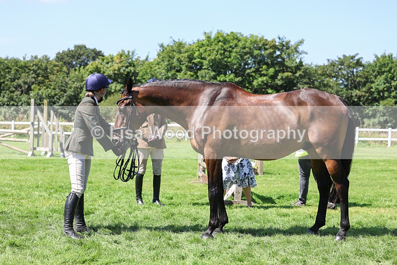 3E7A9084 - Class 6: Open Working Horse