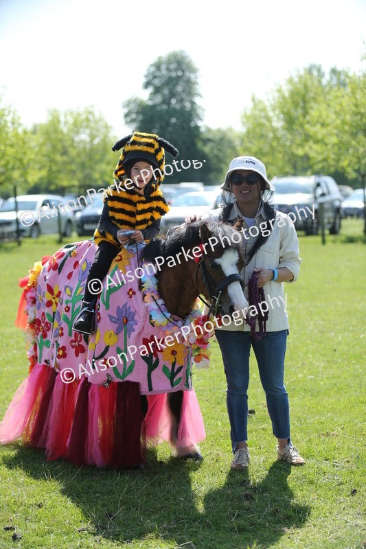 20250427-1872 - Class 5 - Fancy Dress