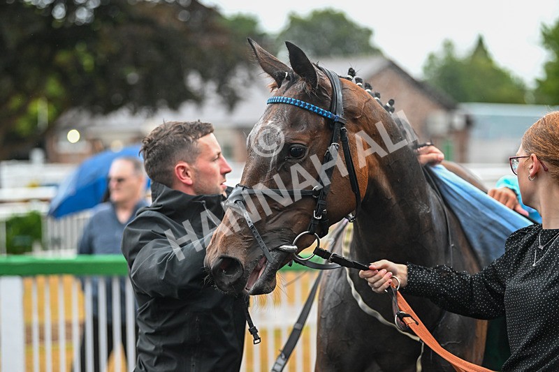 150725-Race 2-Dinamo-6710 - Race 2