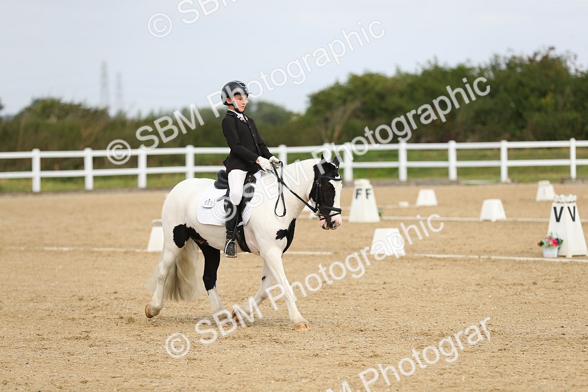 SBM_016333 - Class 13 - Novice 23 - 11.25-12.35