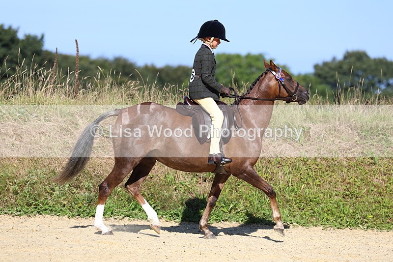 3E7A7886 - Class 14: Tack and Turnout