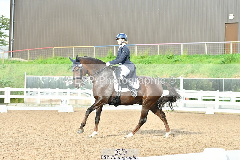 230912A-171429-01964 - Cls 23 FEI Grand Prix