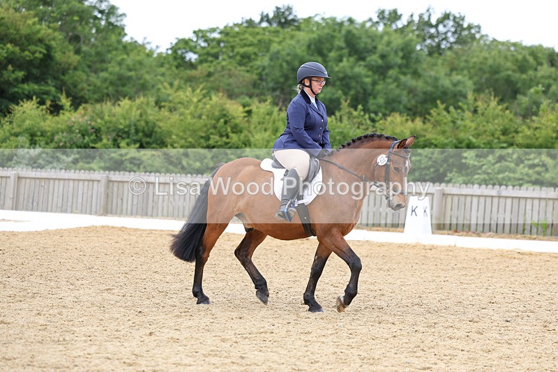 3E7A9518 - Class 2: Intro 1 2024 Section B