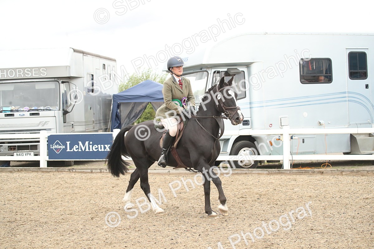 SBM_18354 - Class 509a - Working Veteran - 80cm (15-19)