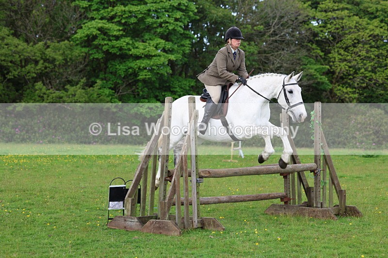 3E7A2551 - Classes 30 and 31: 80cm Working Hunter