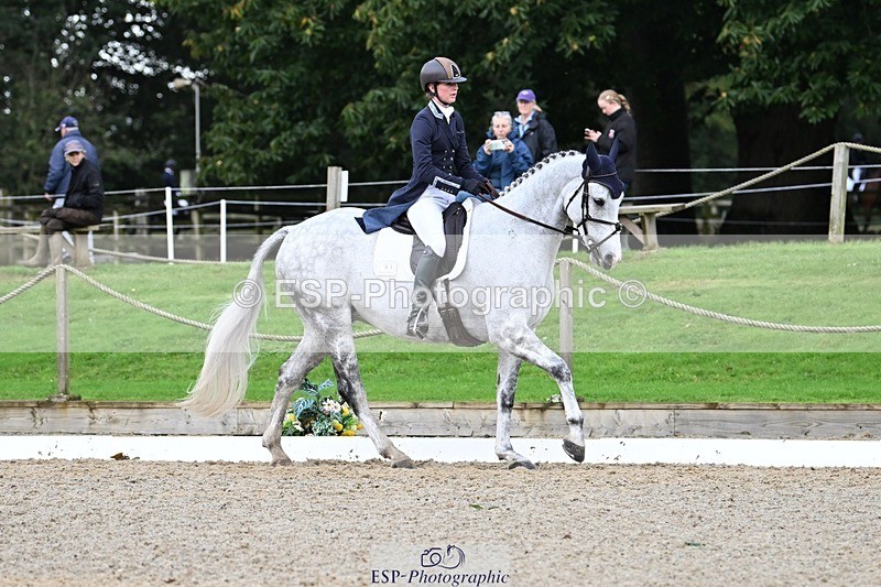 231019-151323-04415 - 061-SAYS.ALL-Maisie.Morgan-DR