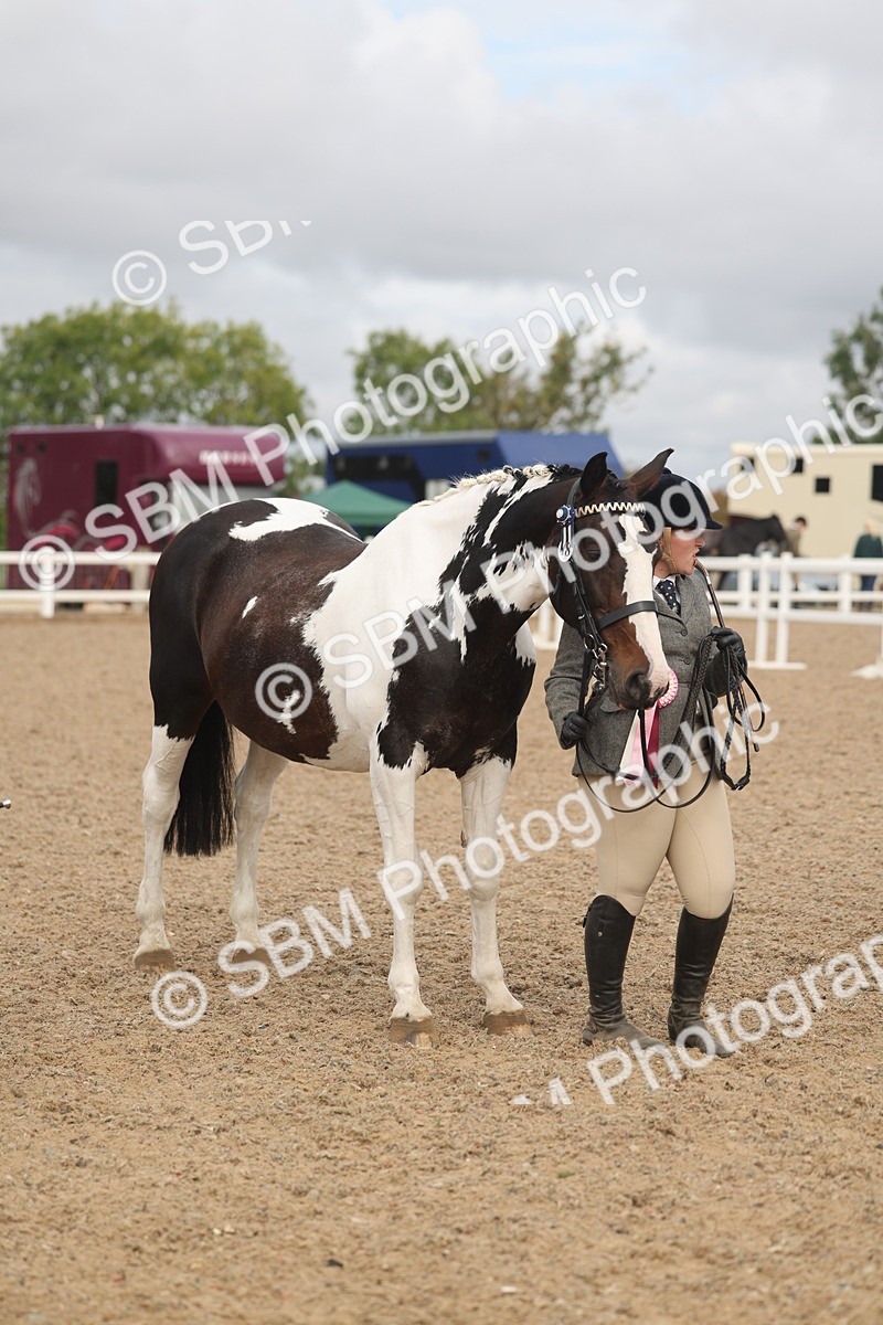 SBM_02147 - Class 15 - IH Coloured