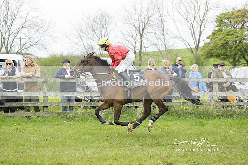 PtP 020522 299 - Mollington Races Point-to-Point 02/05/22