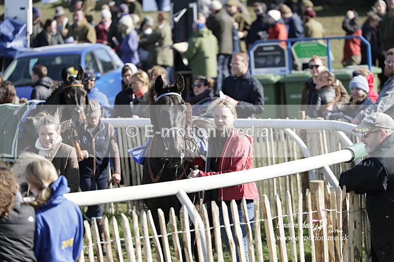 PtP 100423 966 - Old Berkshire Point-to-Point Lockinge 10/04/23