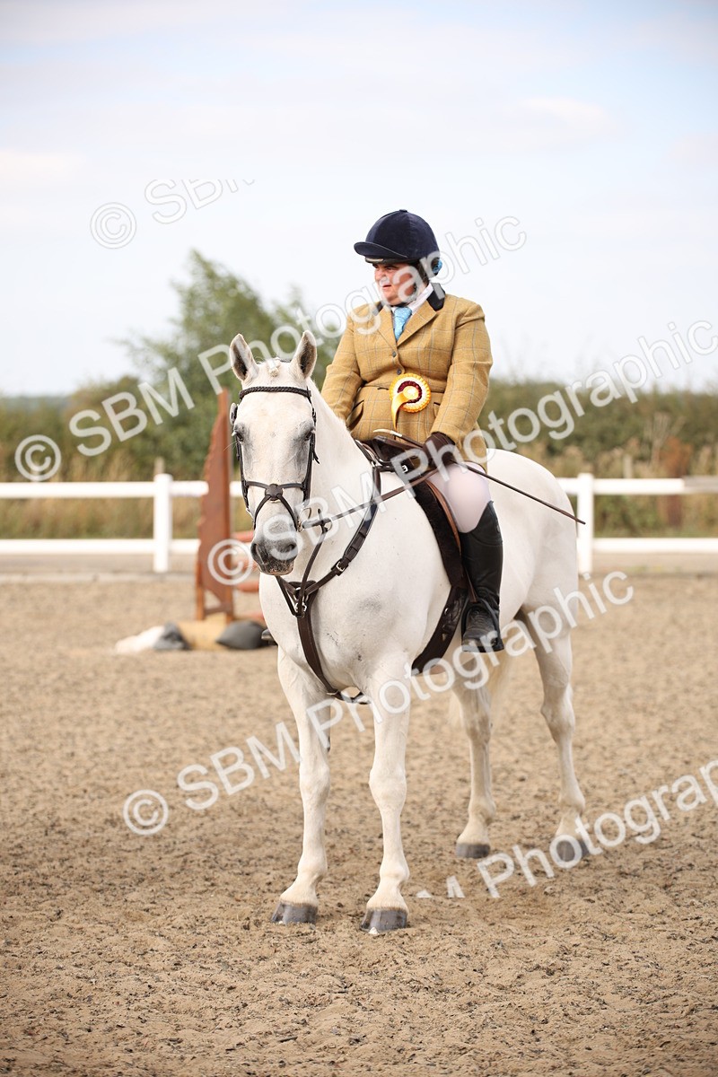 SBM_17327 - Class 410a - Wor5king Veteran 90cm (15-19)