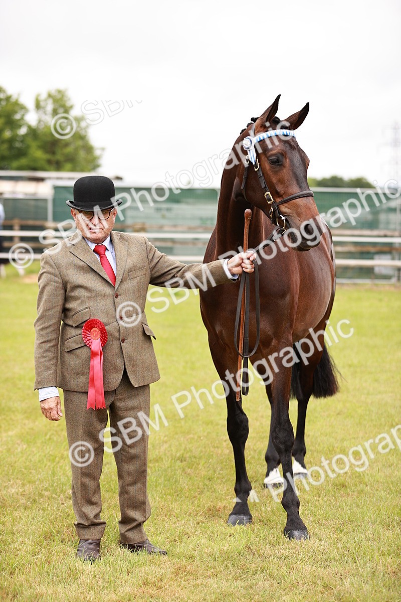 SBM_04782 - Class 35-38 Riding Horse Breeding