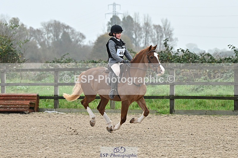 241110-100435-00179 - 40cm Showjumping