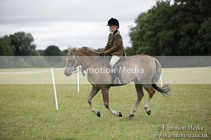 BVR160717-1306 - Ring 1 BVRC Show 16/07/17