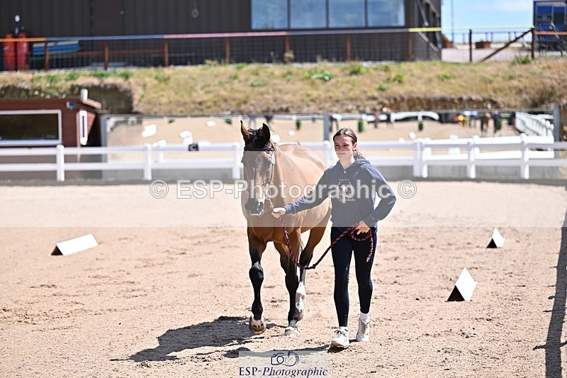 250716-123323-00045 - Trot Up 12.30 to 1.30