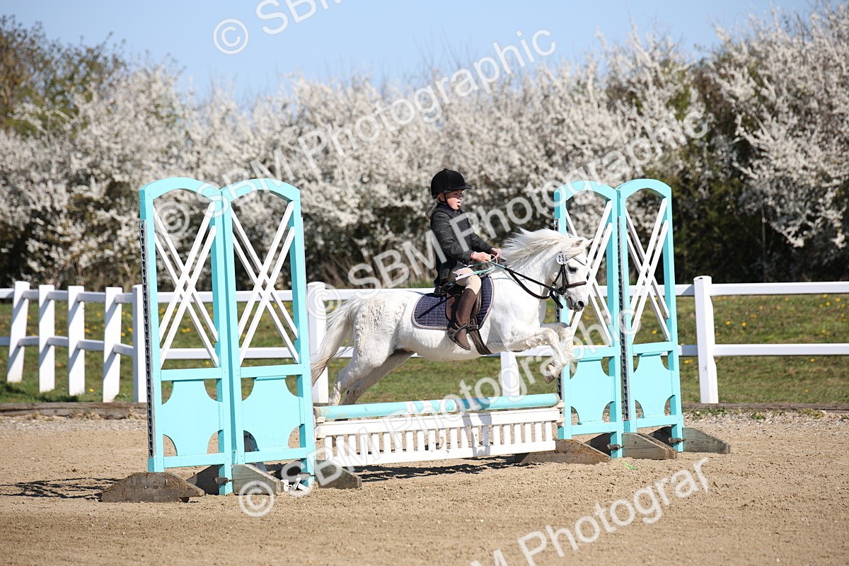 SBM_000699 - Class 2 - 50cm