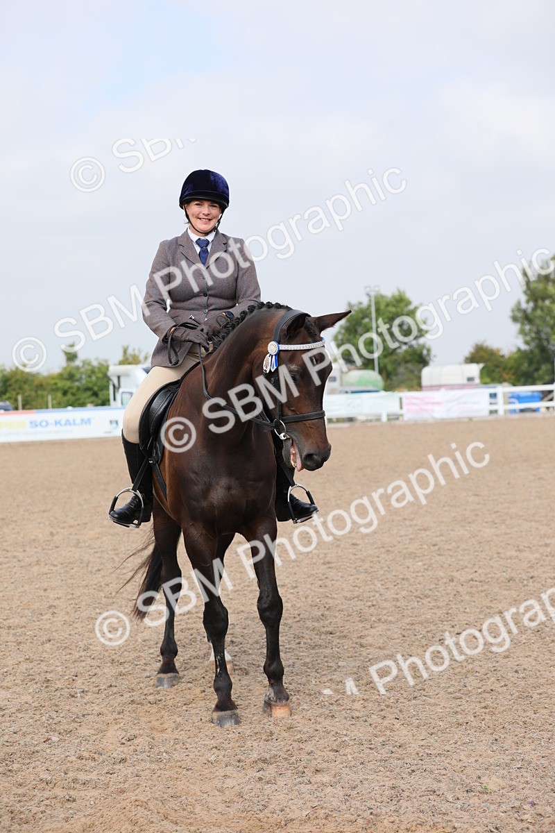 SBM_11501 - Class 305 Ridden Foreign Breeds- Pure Bred