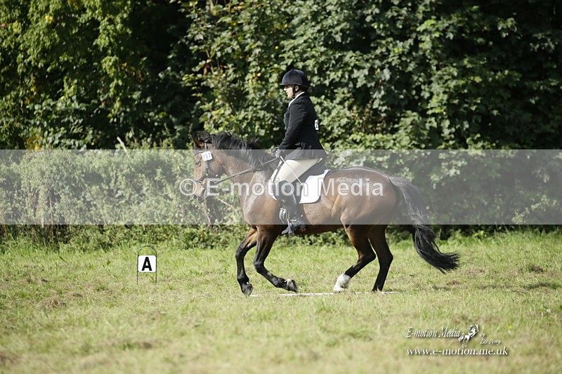 BVRC 120921 295 - Bourne Valley Riding Club UA Dressage & Show Jumping 12/09/21