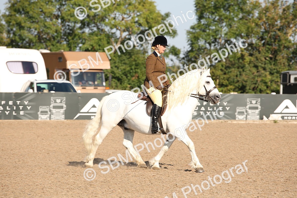 SBM_00697 - Class 14 Ridden M&M Wildcard