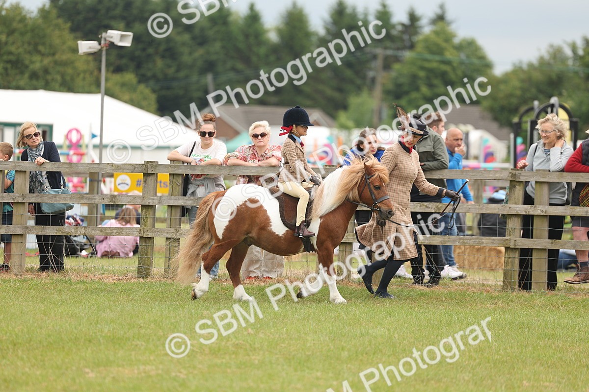 SBM_06683 - Class 74-75 - M&M Lead Rein and First Ridden Pony