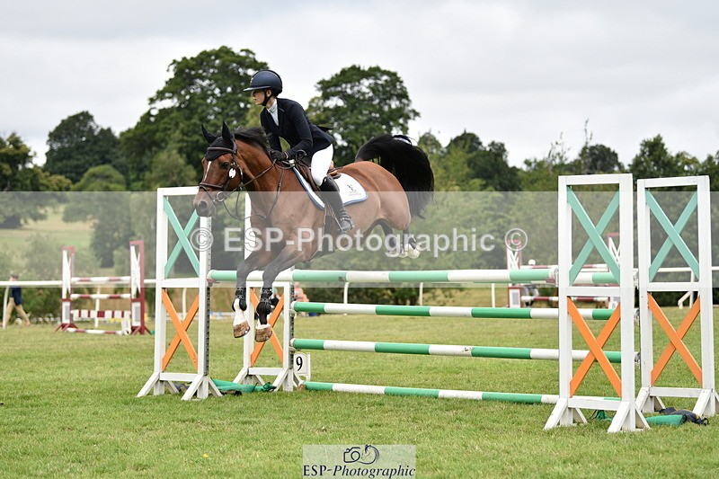 260704A-101120-12674 - Cls 41 Snr Fox inc 6 Year Old