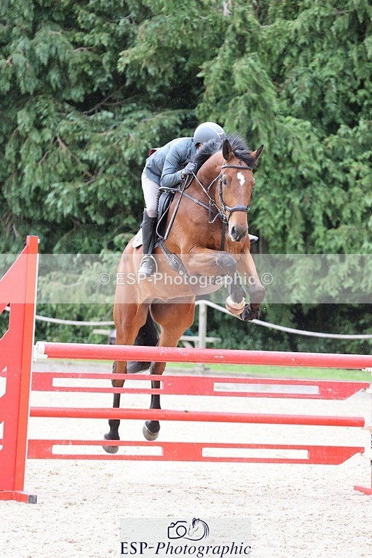 240615-130857-01544 - Cls 4 Snr Newcomers and 1.10m Open