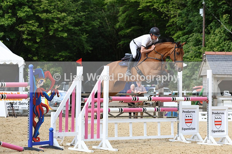 3E7A7806 - Class 8: Senior Foxhunter/1.20 open