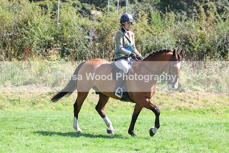 3E7A9173 - Working Hunter Championship