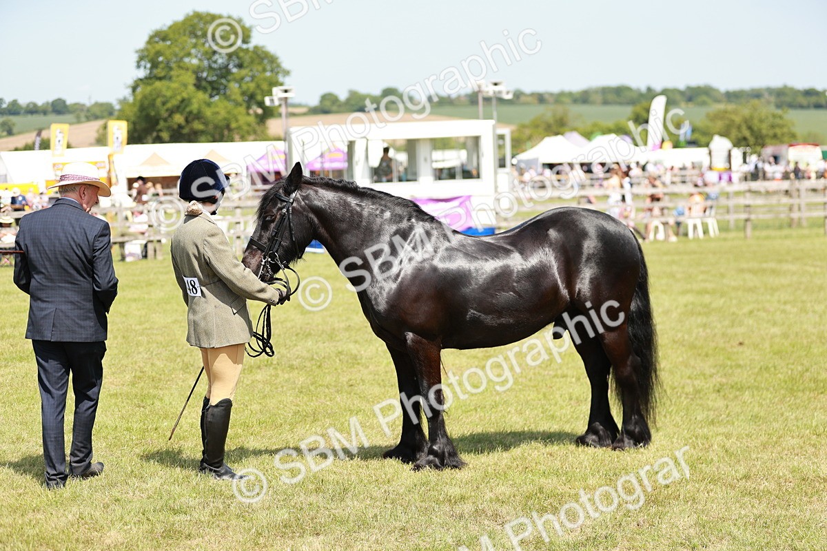 SBM_07179 - Class 26-30 - Mountain and Moorland Ridden