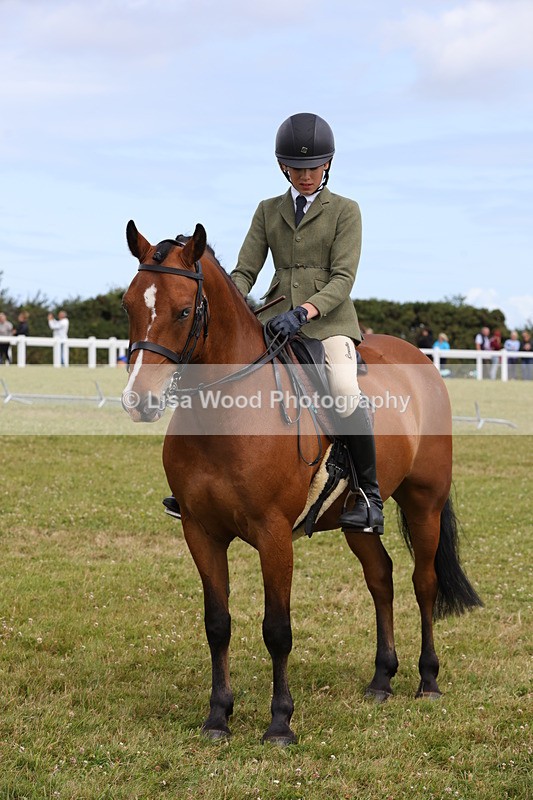 1X9A4043 - Class 32: Show Hunter Pony 153cm and under