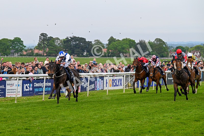 060524-Race 6-Shes Got Bottle-7272