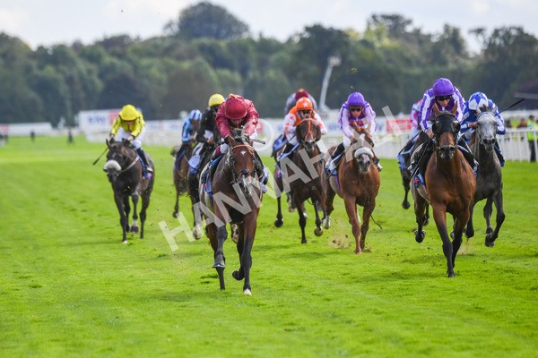 260823-Race 2-Middle Earth-0320 - Race 2 Sky Bet Melrose Handicap