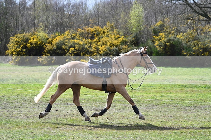 WJ7_2791 - Time 14:58 to 15:19