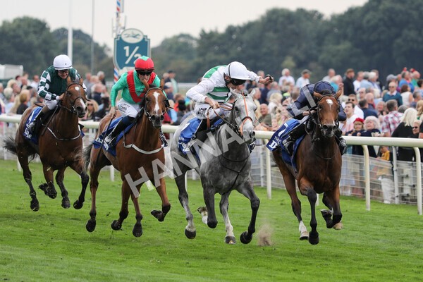 yr18082022r4-28 - Race 4 3.35pm Darley Yorkshire Oaks (British Champions Series Race)
