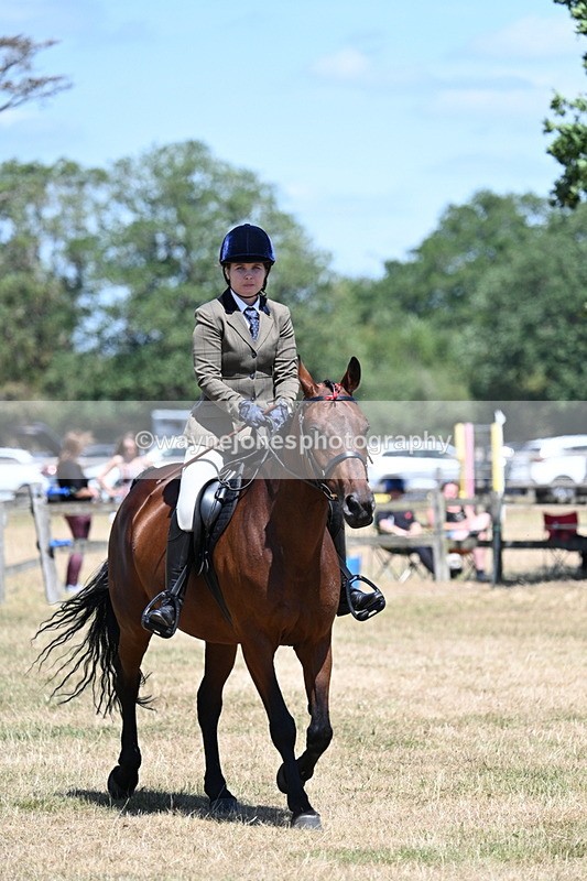WJ7_3037 - Class 7 Riding Club Show Horse