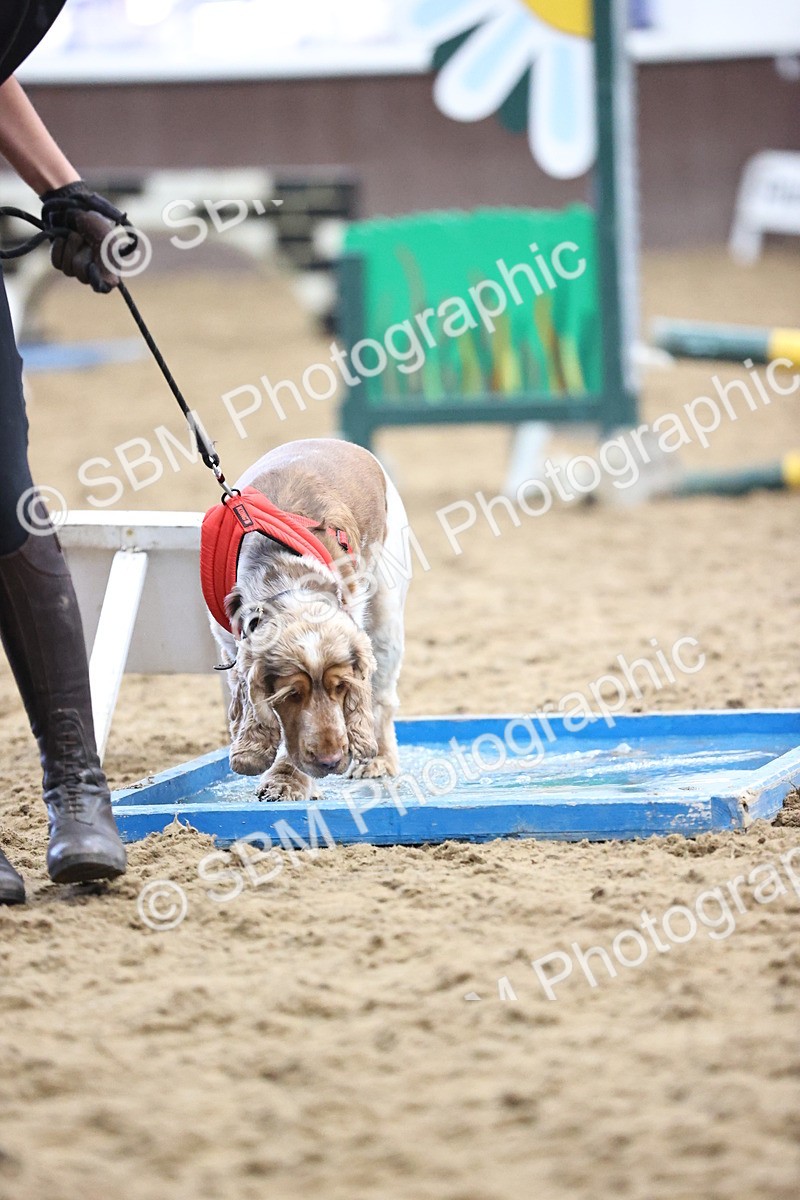 SBM_001351 - Class 3 - Horse & Hound 60cm