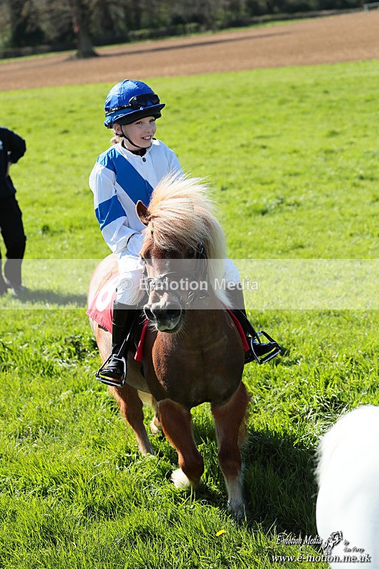 Shet 060426 231 - Shetland Pony Racing Paxford Races Easter Mon 06/04/26