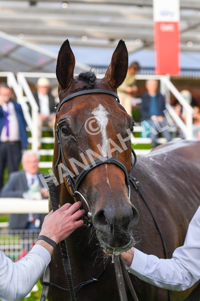 280723-Race 5-Midnight Mile-0595 - Race 5 7.15pm British EBF 40th Anniversary Lyric Fillies' Stakes