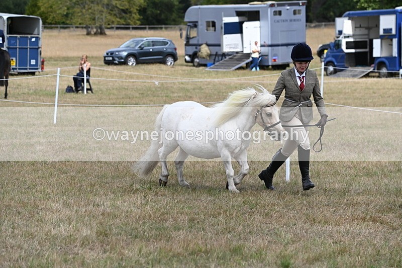 WJ6_5947 - Class 19 In-hand Veterans (Uploaded correct folder)