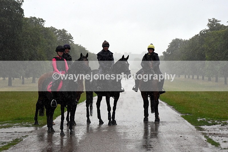 TT3_8849 - Time at Crossing 12:55 to 15:02