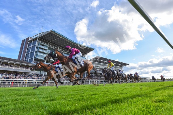 111024-Race 1-Empirestateofmind-7826 - Race 1 1.30pm William Hill Top Price Guarantee Autumn Handicap