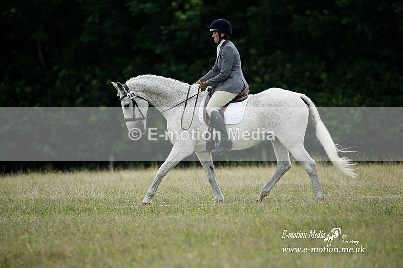 BVRC 030721 742 - Bourne Valley Riding Club Dressage 03/07/21