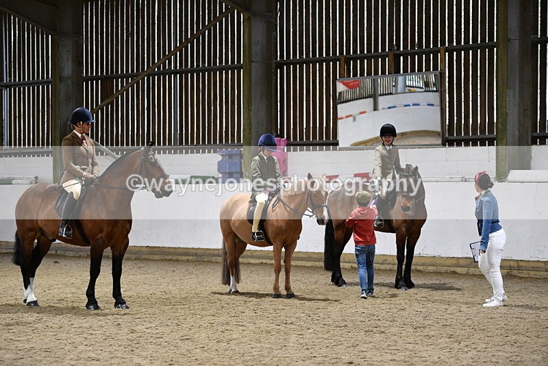 WJ5_8730 - Class 14 Novice Ridden/Rider