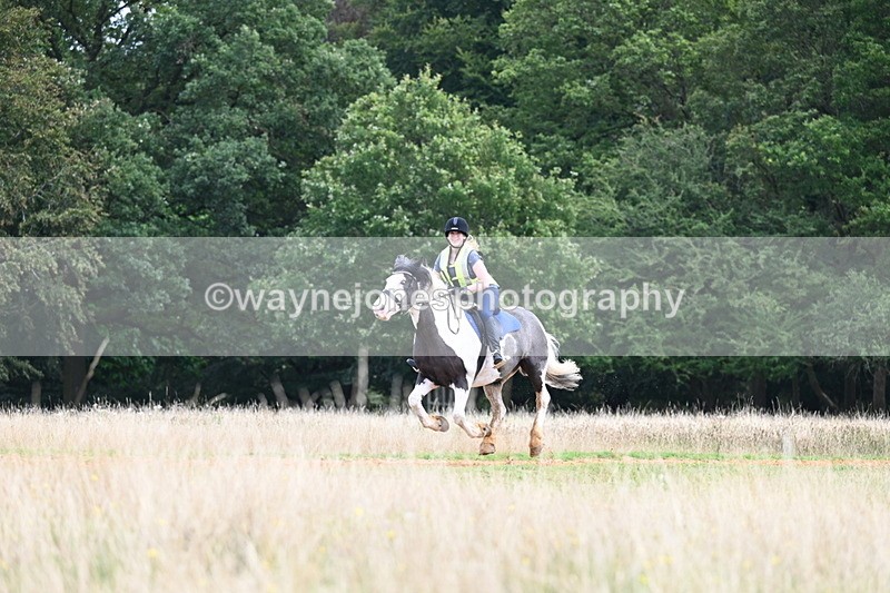 DSC_6888 - Time at Statue 12:45 to 13:15