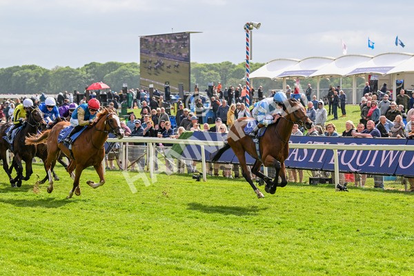 150525-Pride Of Arras-4695 - Race 4 3.45pm Al Basti Equiworld Dubai Dante Stakes