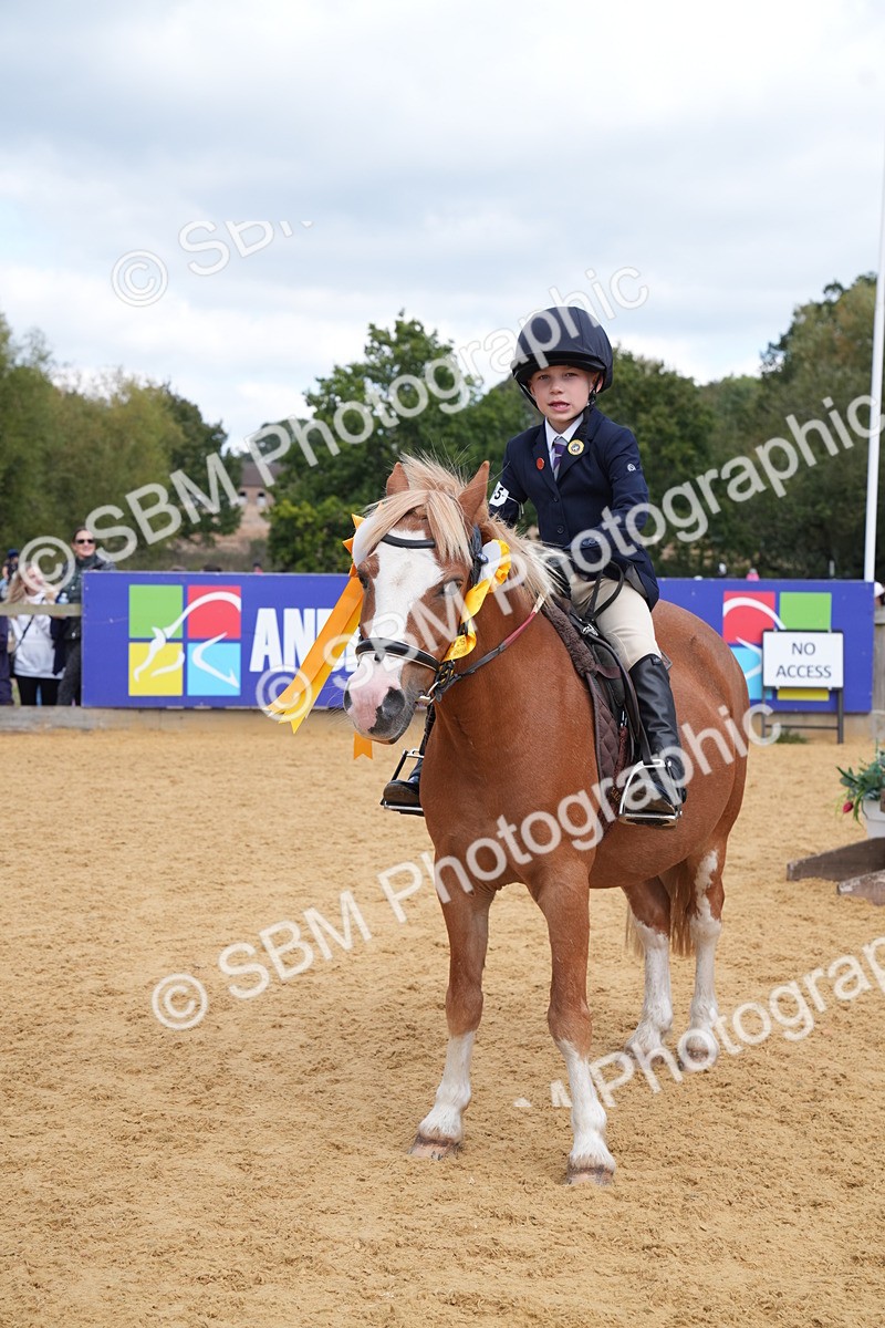 SBM_64537 - J2 - Mini Tour Junior Pony 30cm Championship