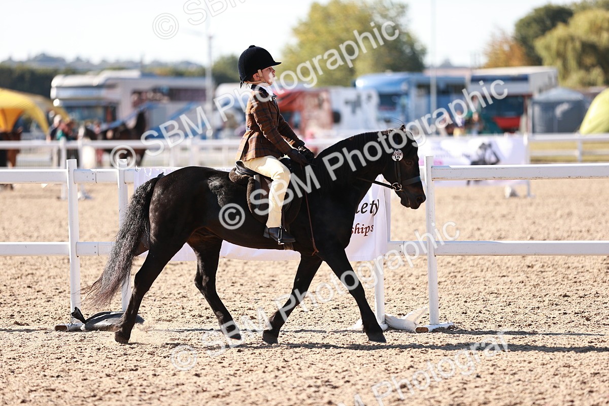 SBM_12454 - Class 403 - Grassroots Ridden - Junior