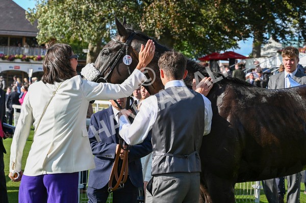 240824-Race 6-Tropical Storm-1676 - Race 6 4.45pm Julia Graves Roses Stakes