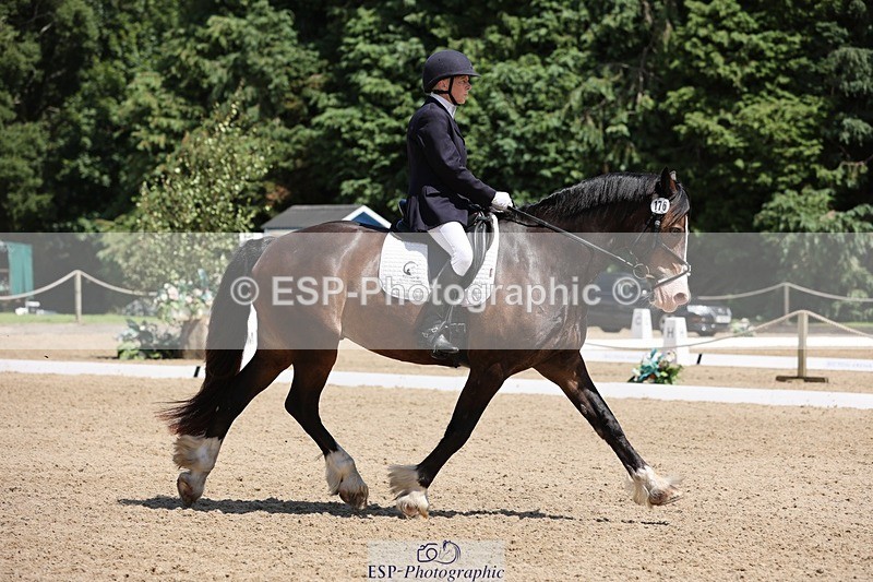 240721-132649-08797 - 176-Amanda_Williams-Llanarth_Westminster